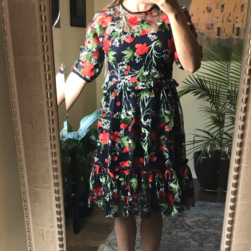 1901 embroidered mesh dark floral dress 6 - Picture 8 of 8